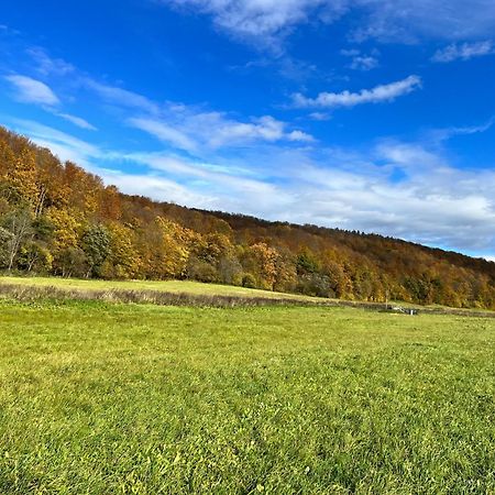 Domki Nad Stawem Uherce Uherce Mineralne Exterior foto