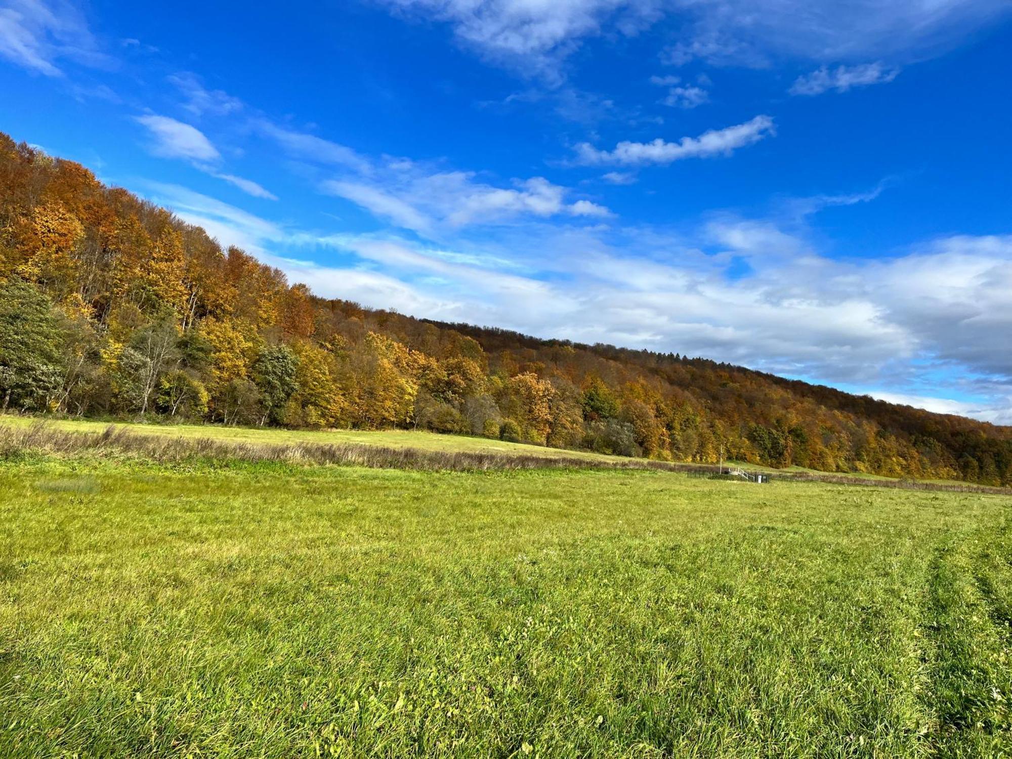 Domki Nad Stawem Uherce Uherce Mineralne Exterior foto