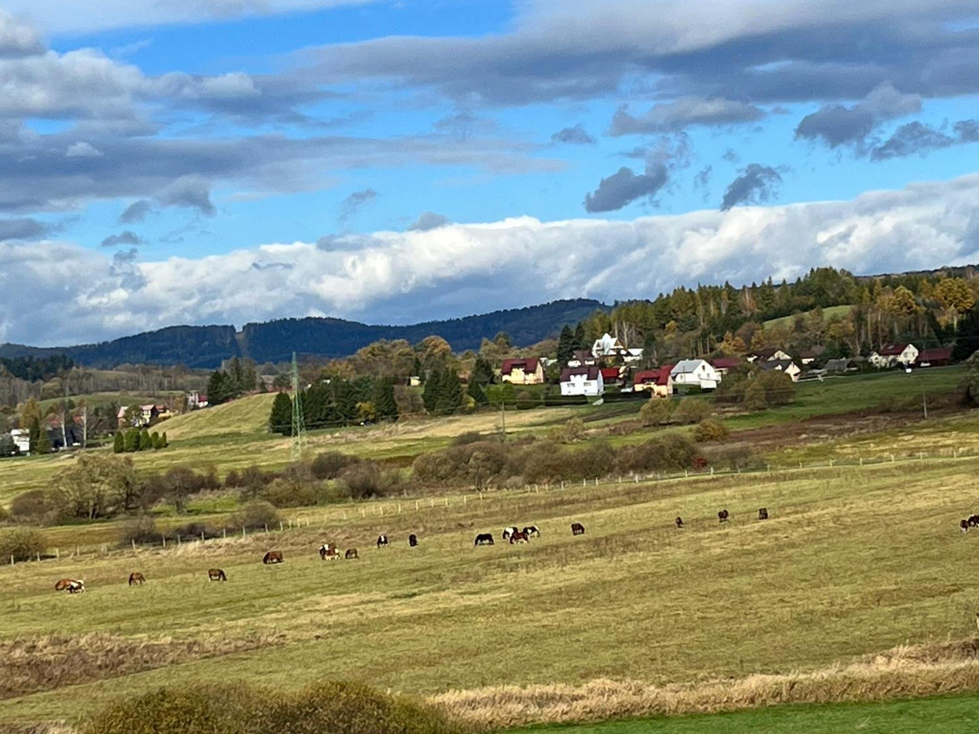Domki Nad Stawem Uherce Uherce Mineralne Exterior foto