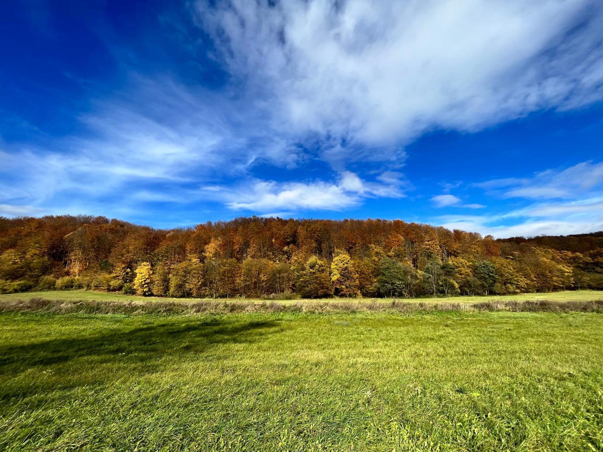 Domki Nad Stawem Uherce Uherce Mineralne Exterior foto